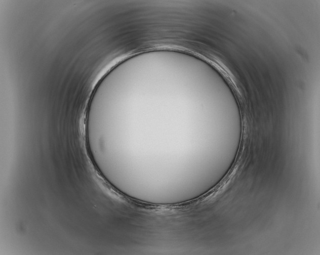 X0000115640814200911101055