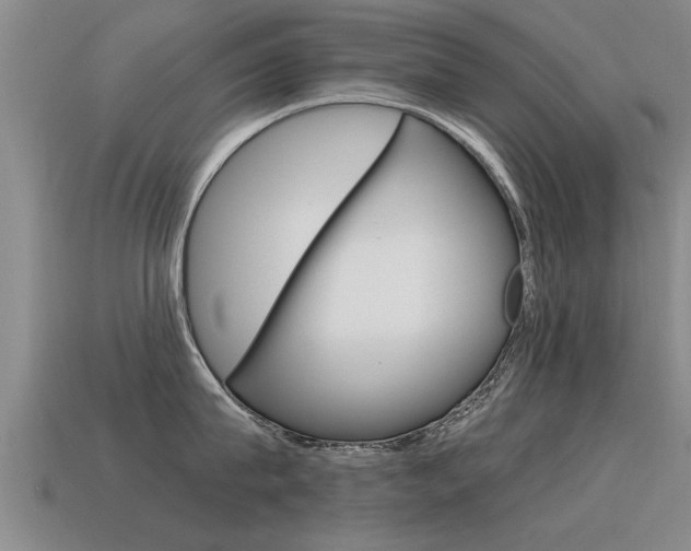 X0000115640815200911101055