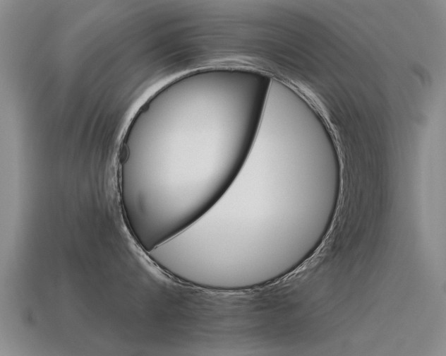 X0000115640816200911101054