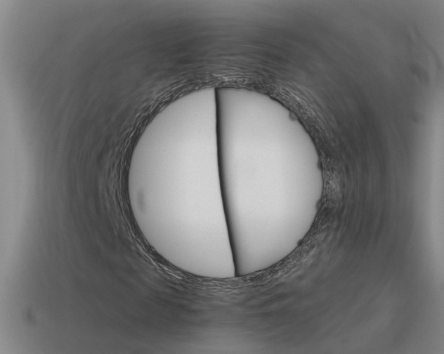 X0000115640817200911101054