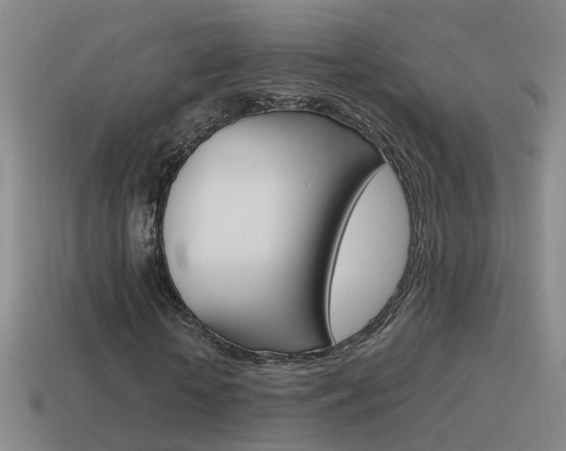 X0000115640818200911101054