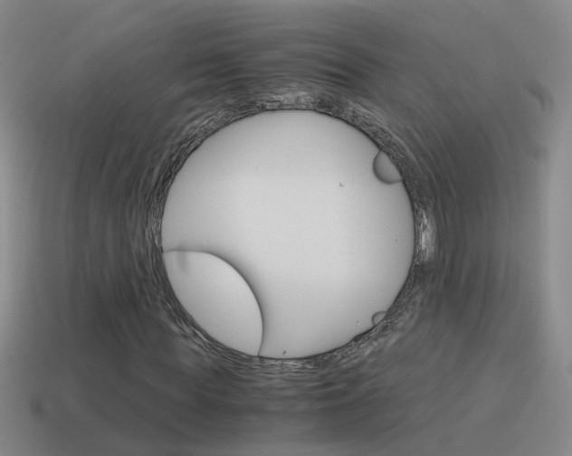 X0000115640819200911101054