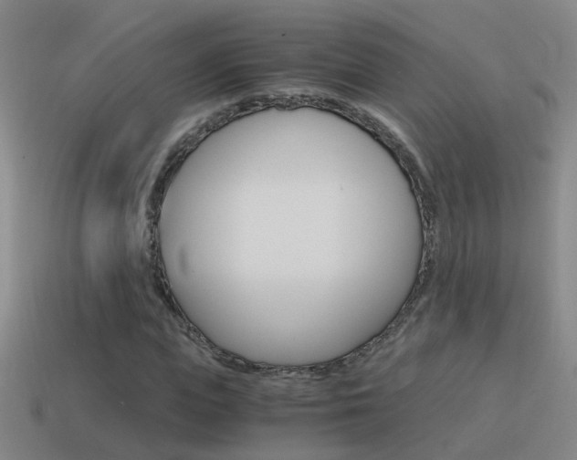 X0000115640823200911101054