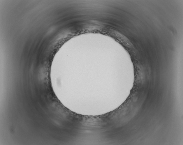 X0000115640824200911101054