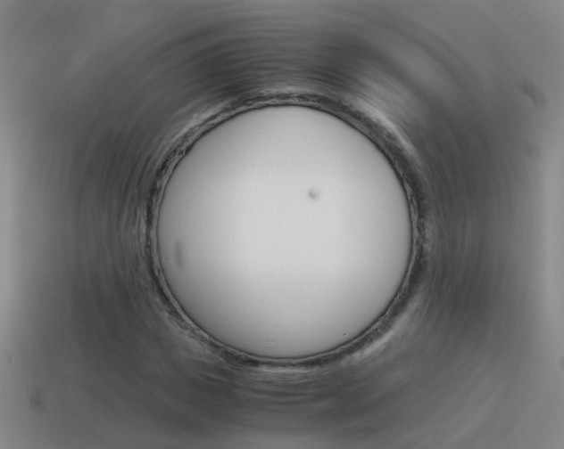 X0000115640825200911101054