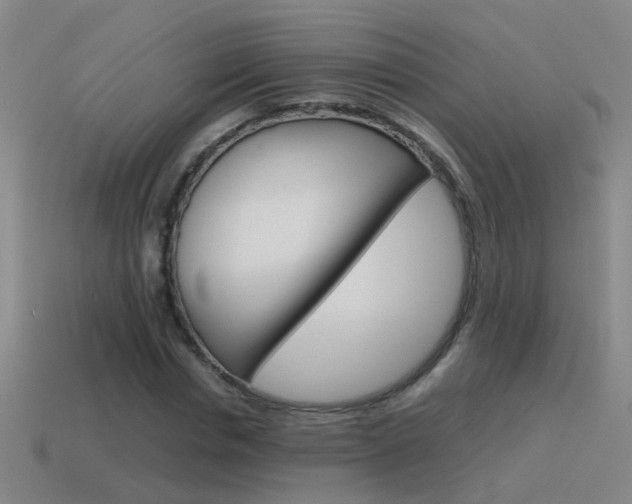 X0000115640826200911101054