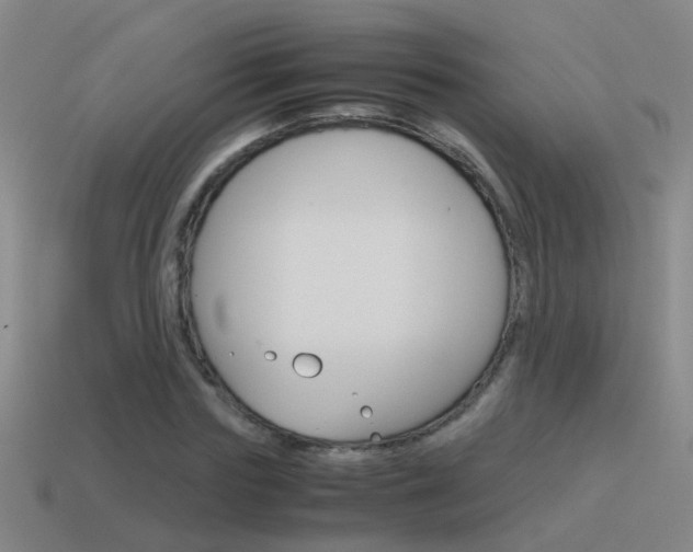 X0000115640827200911101054