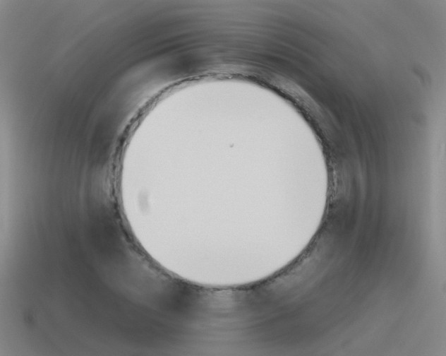 X0000115640828200911101054