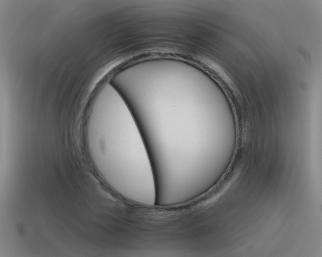 X0000115640829200911101054