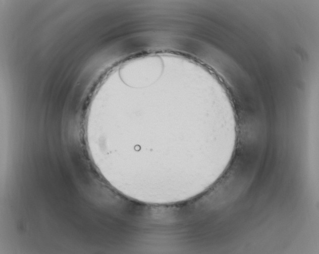 X0000115640832200911101054