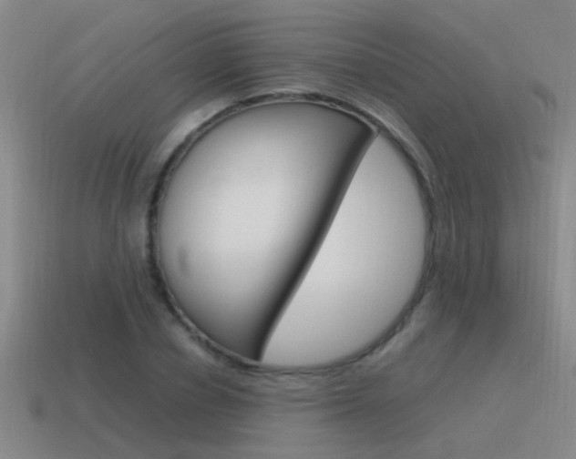 X0000115640834200911101054