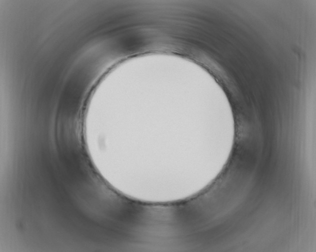 X0000115640836200911101054