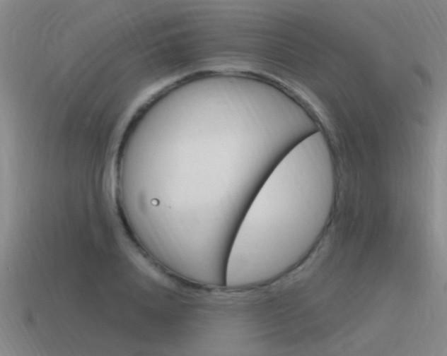 X0000115640840200911101054
