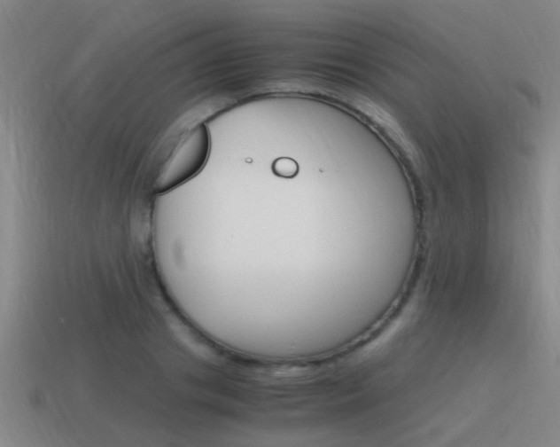 X0000115640841200911101054