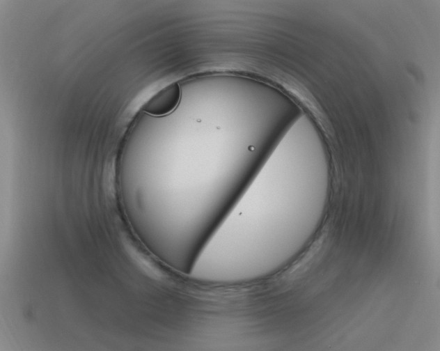 X0000115640842200911101054