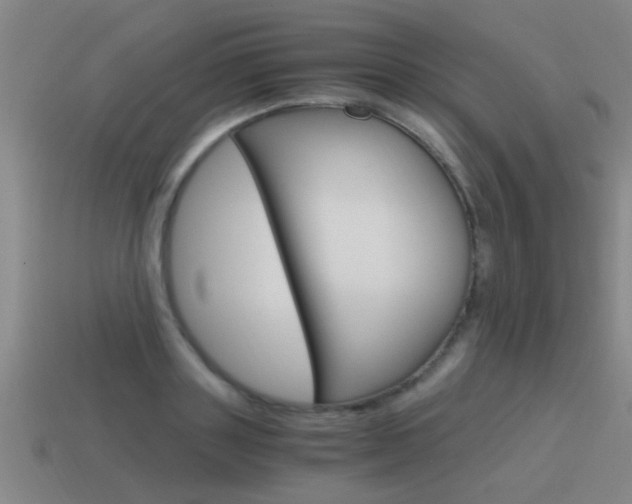 X0000115640843200911101054