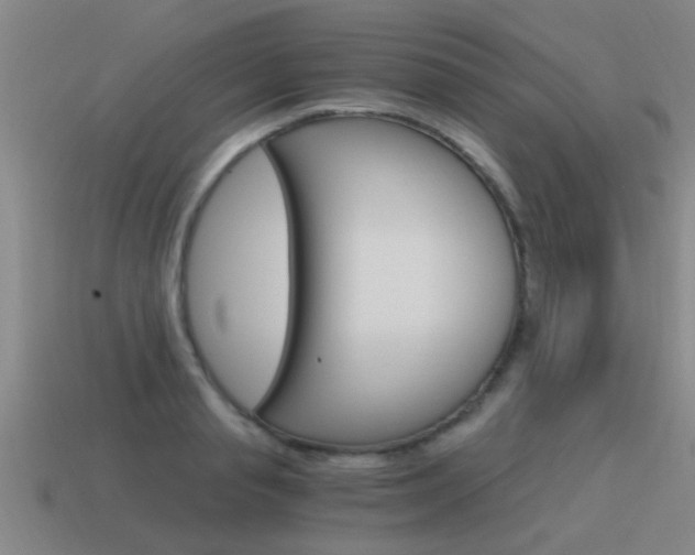 X0000115640845200911101054