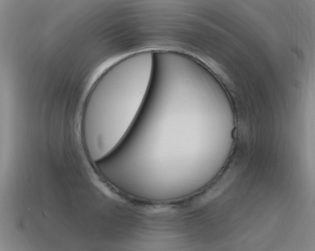 X0000115640846200911101054