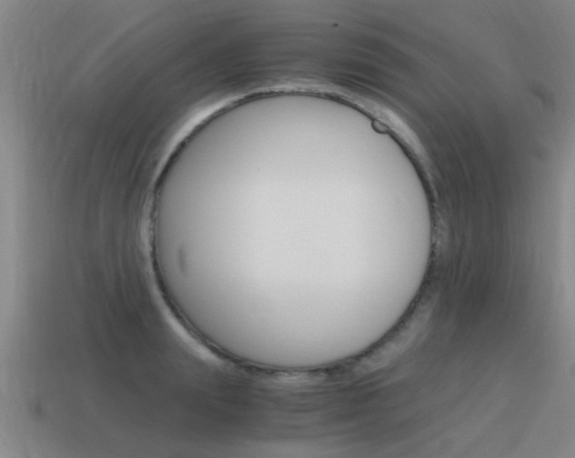 X0000115640847200911101054
