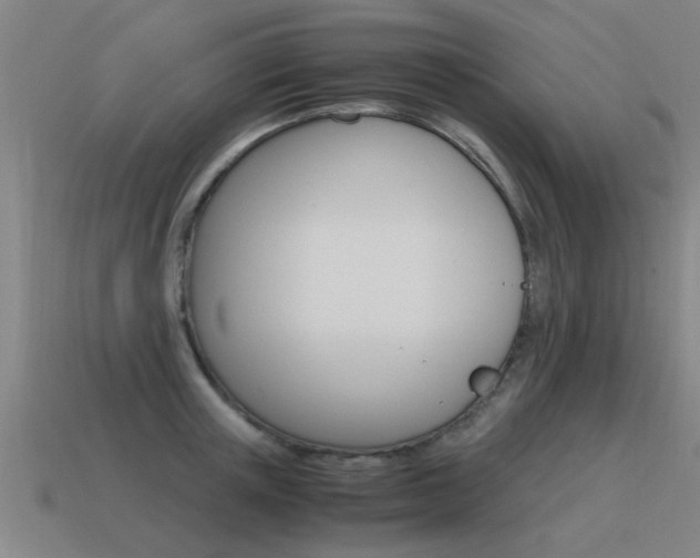 X0000115640851200911101054
