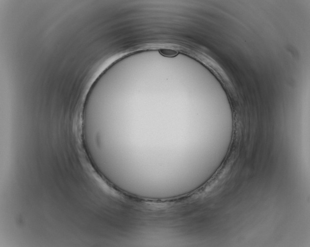 X0000115640852200911101054