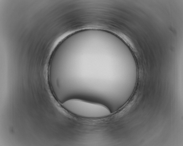 X0000115640854200911101054