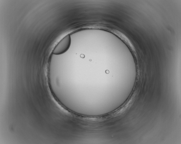 X0000115640855200911101054