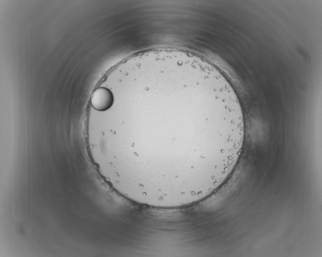 X0000115640856200911101054