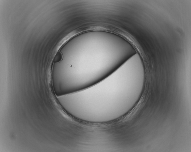 X0000115640858200911101054