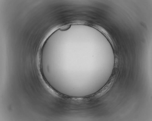 X0000115640859200911101054