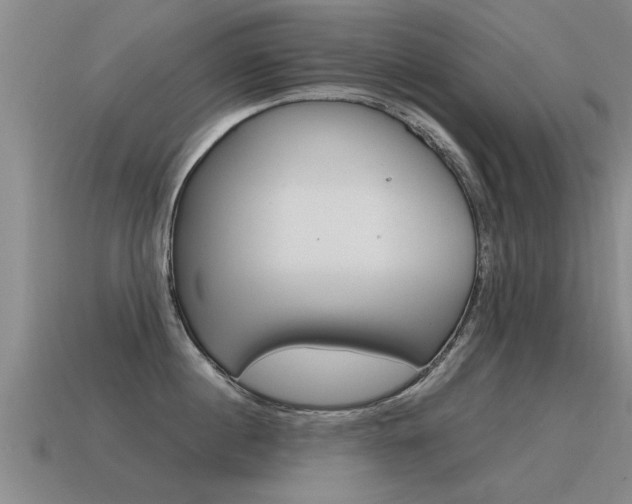 X0000115640860200911101054
