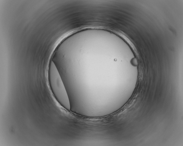 X0000115640861200911101054
