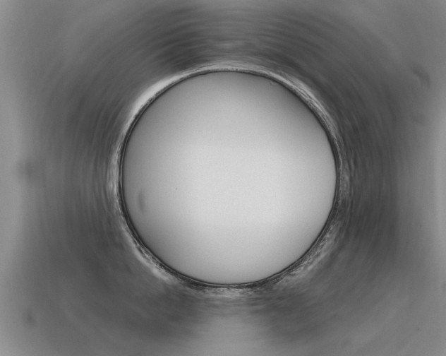 X0000115640862200911101054