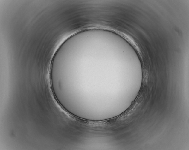 X0000115640863200911101054