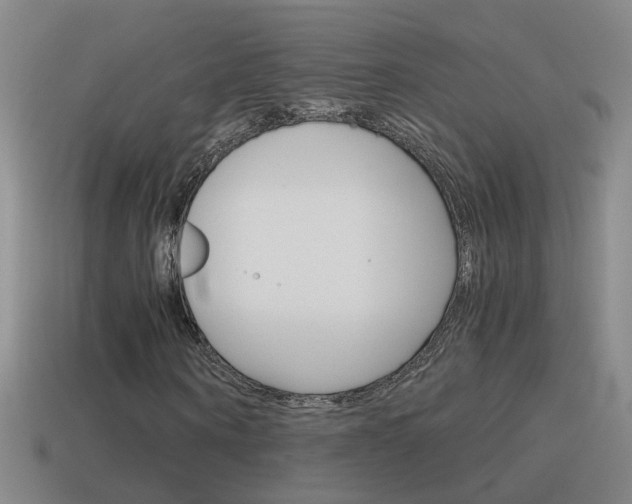 X0000115640866200911101054