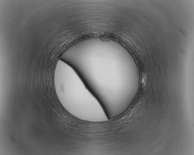 X0000115640867200911101054