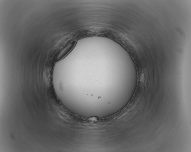 X0000115640868200911101054