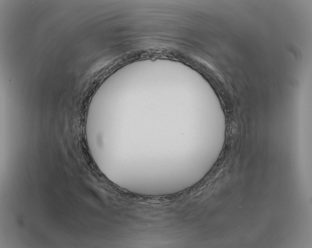 X0000115640869200911101054