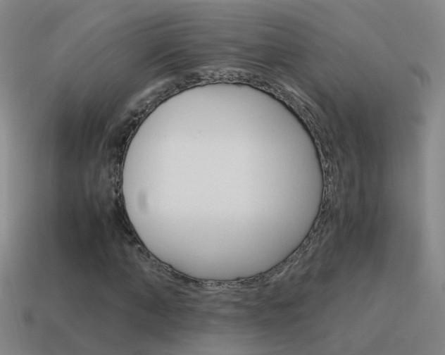 X0000115640870200911101054