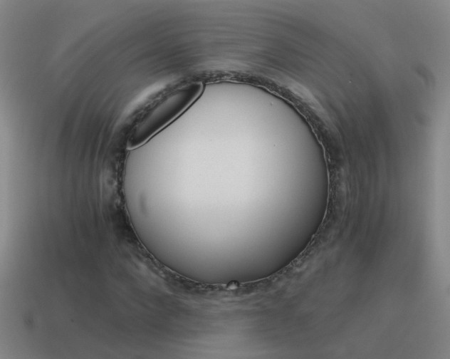 X0000115640872200911101054