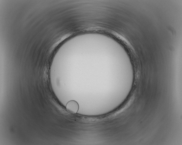 X0000115640873200911101054