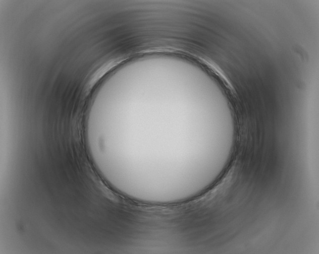 X0000115640874200911101054
