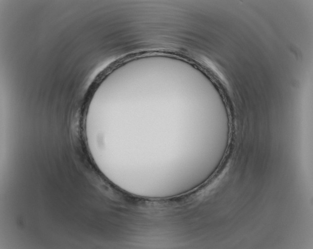 X0000115640875200911101054