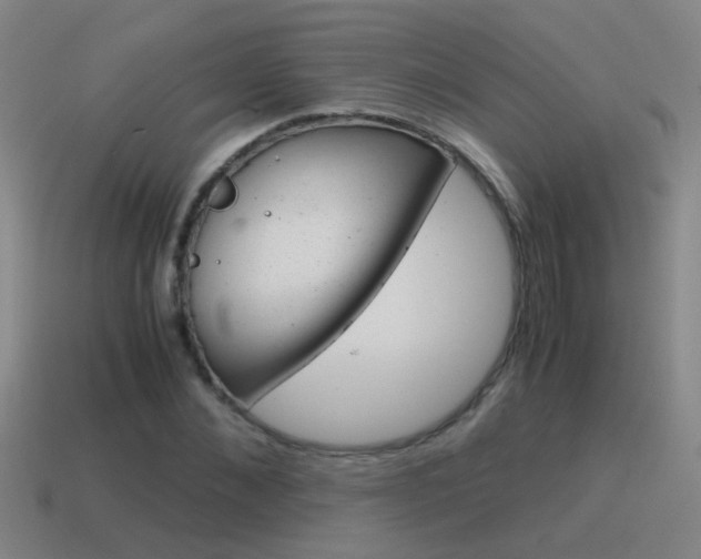 X0000115640876200911101054