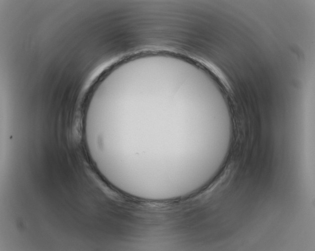 X0000115640878200911101054