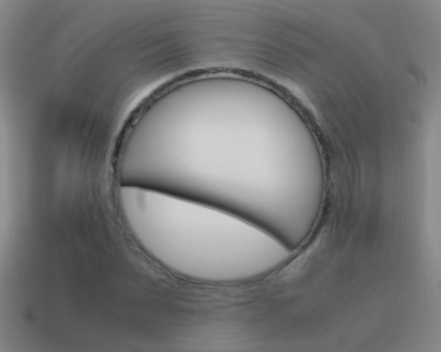 X0000115640879200911101054