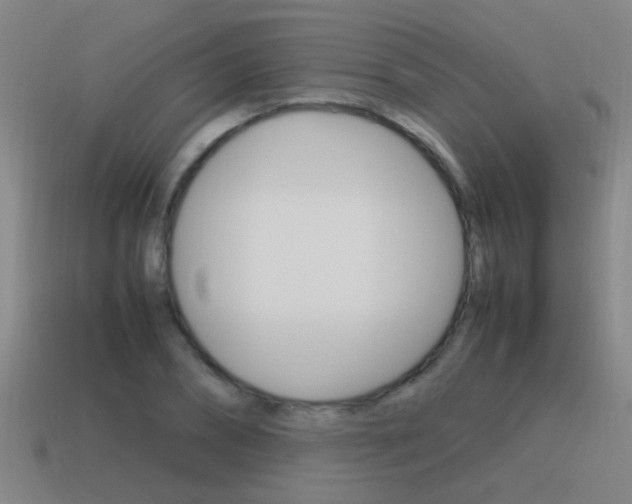 X0000115640882200911101053