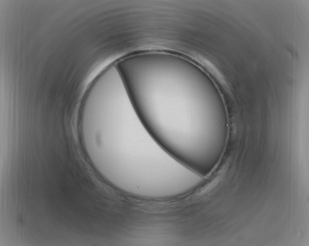 X0000115640885200911101053