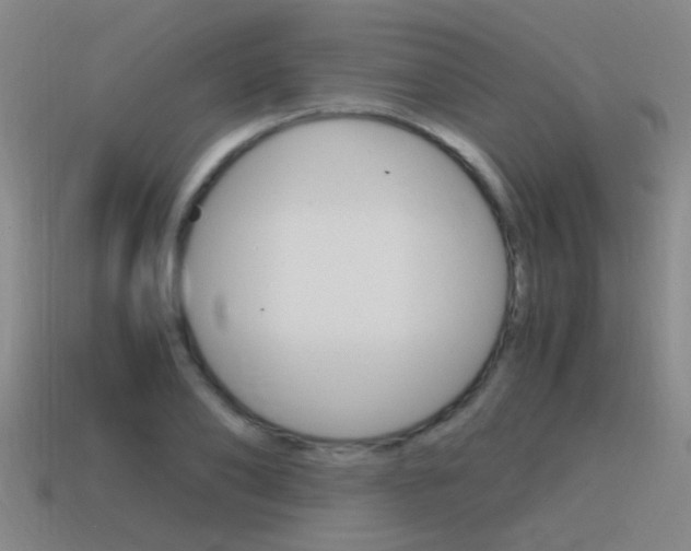 X0000115640886200911101053