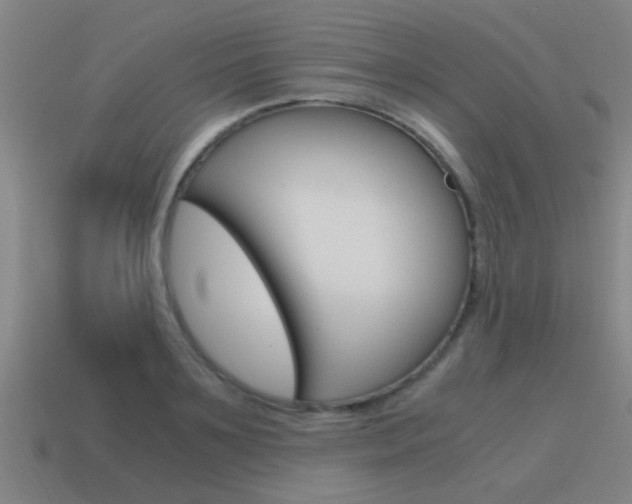 X0000115640891200911101053